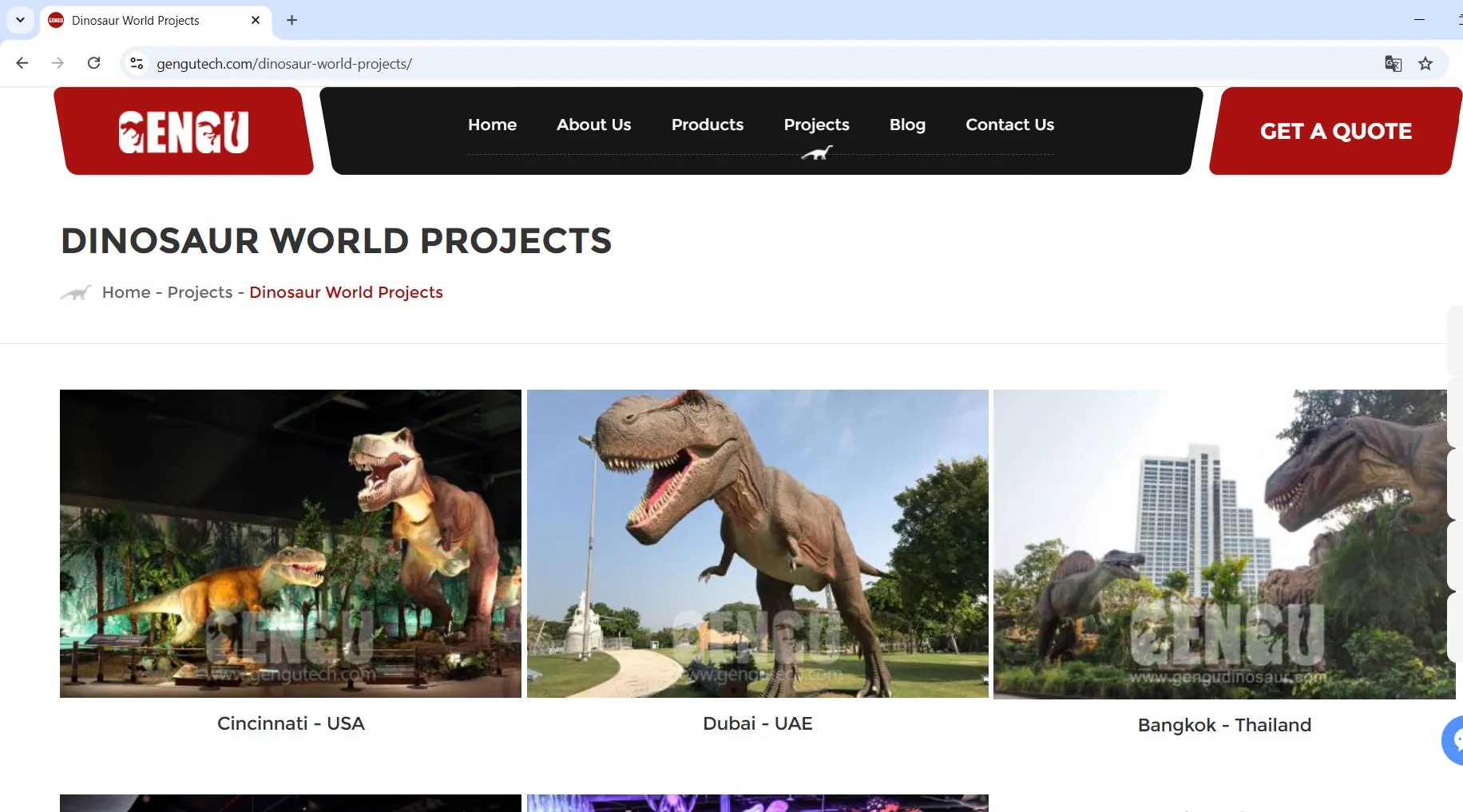 GENGU projects page missing Ankara